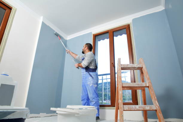 Best Fire-Damaged Drywall Repair  in Esperance, WA